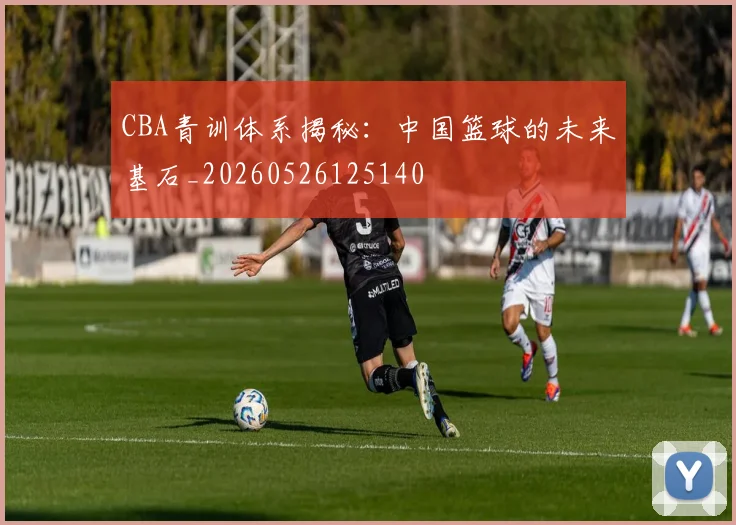 CBA青训体系揭秘：中国篮球的未来基石_20260526125140
