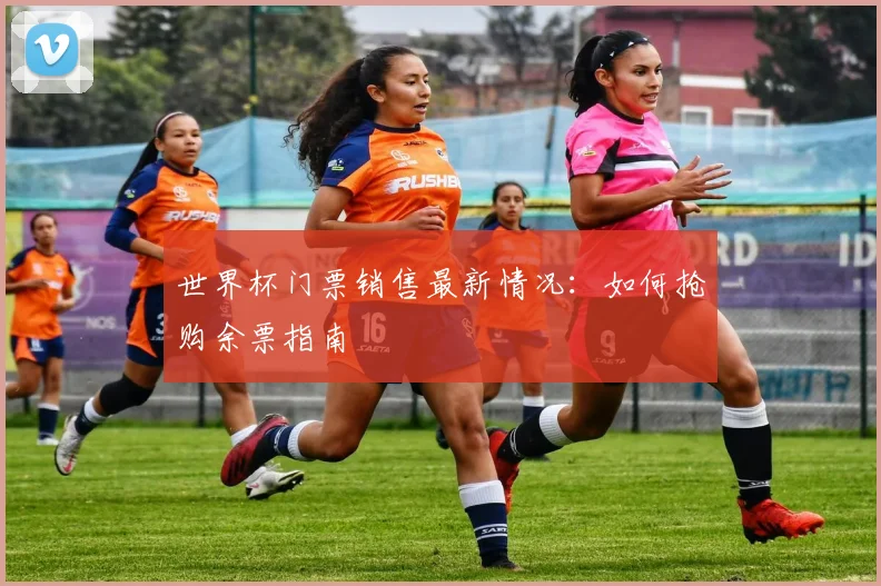 世界杯门票销售最新情况:如何抢购余票指南