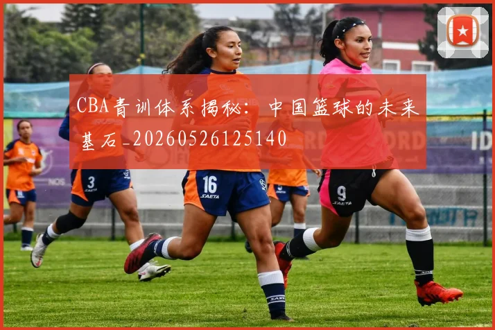 CBA青训体系揭秘：中国篮球的未来基石_20260526125140