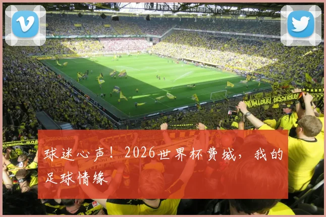 球迷心声!2026世界杯费城,我的足球情缘
