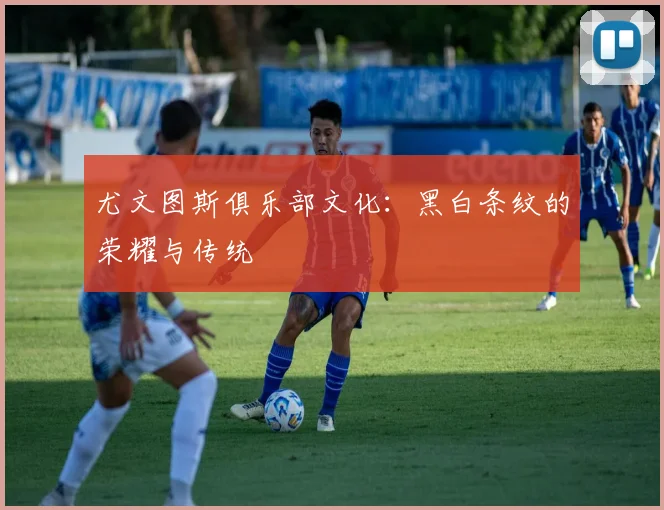 尤文图斯俱乐部文化:黑白条纹的荣耀与传统