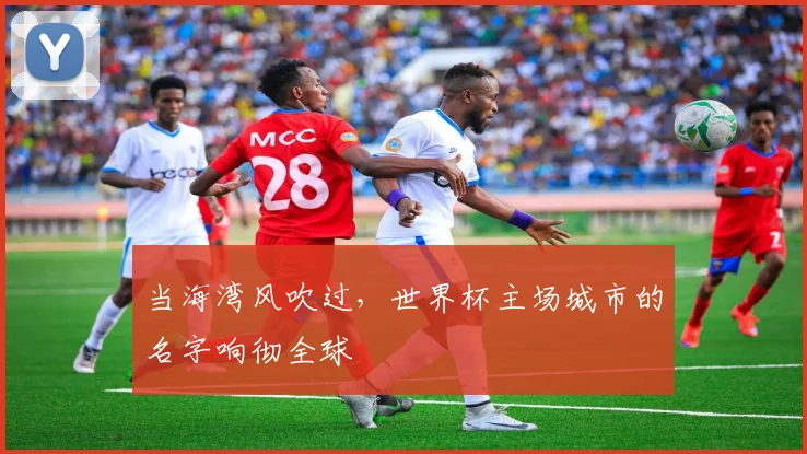 当海湾风吹过，世界杯主场城市的名字响彻全球